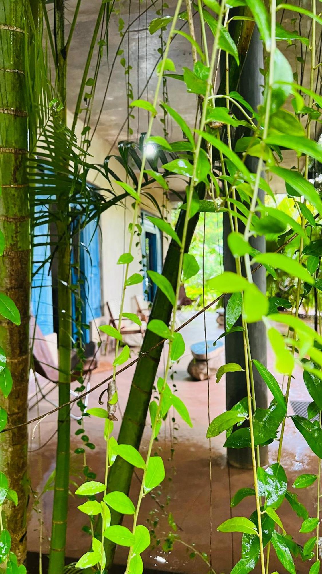 Kataragama Homestay 외부 사진