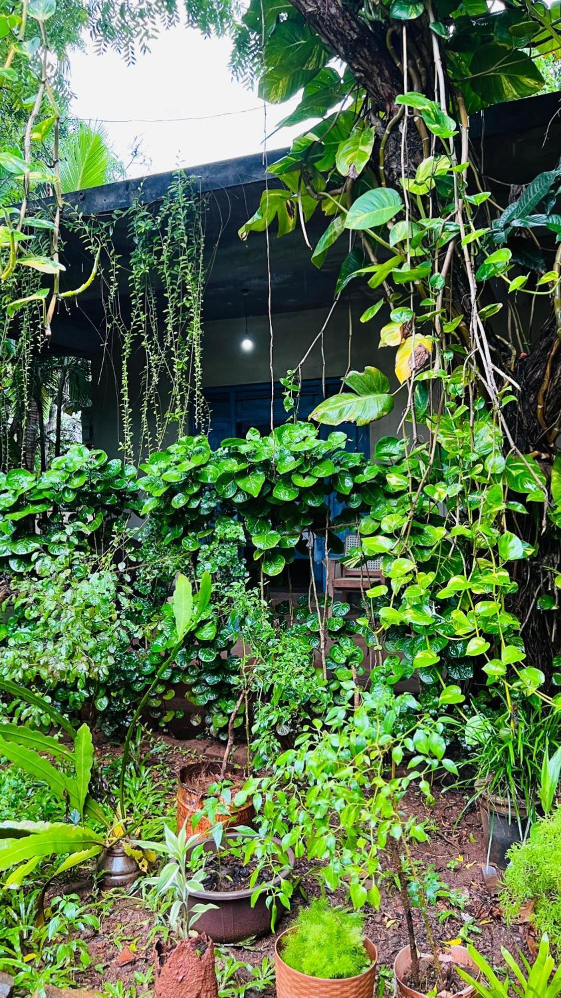 Kataragama Homestay 외부 사진