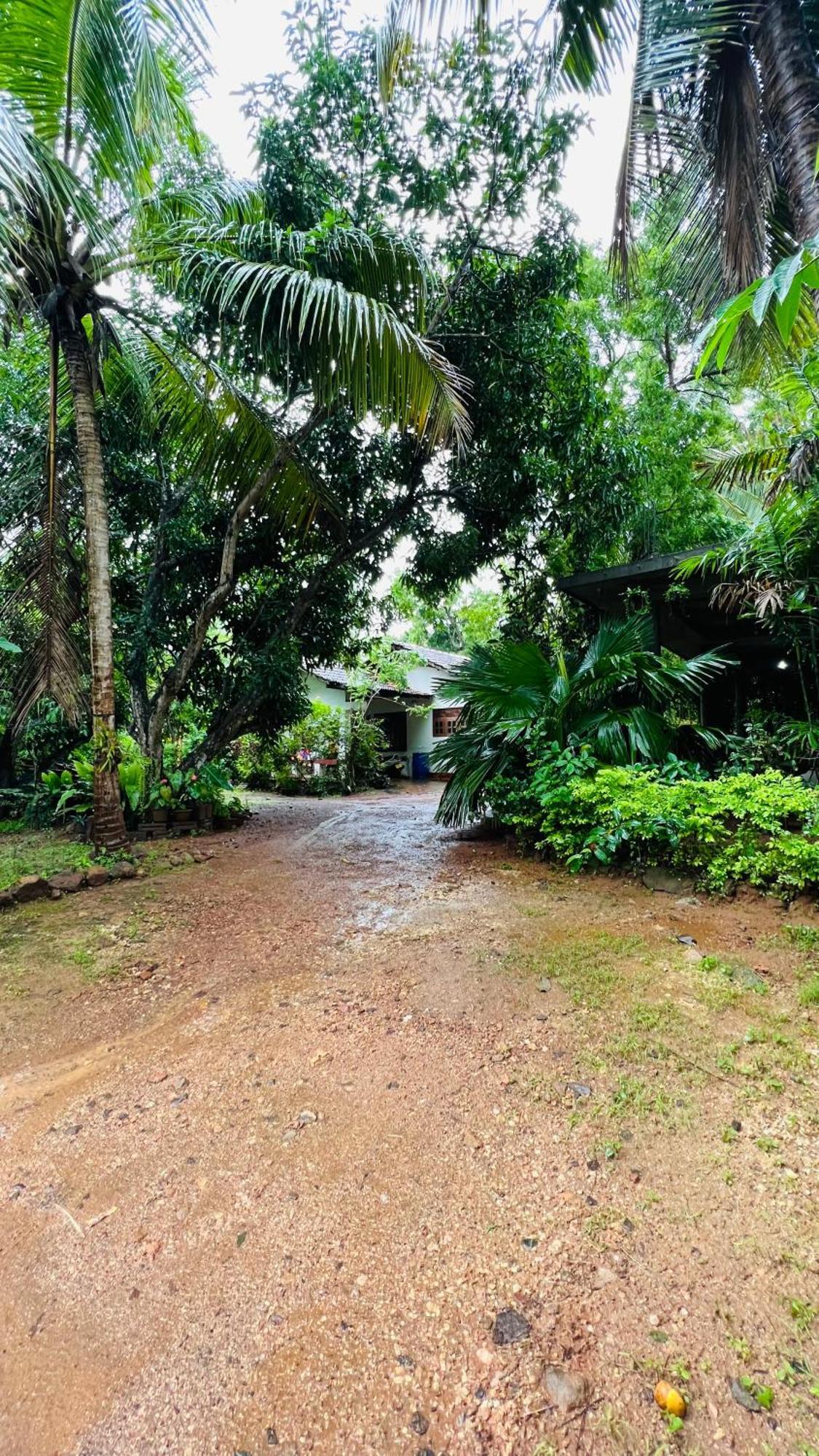 Kataragama Homestay 외부 사진