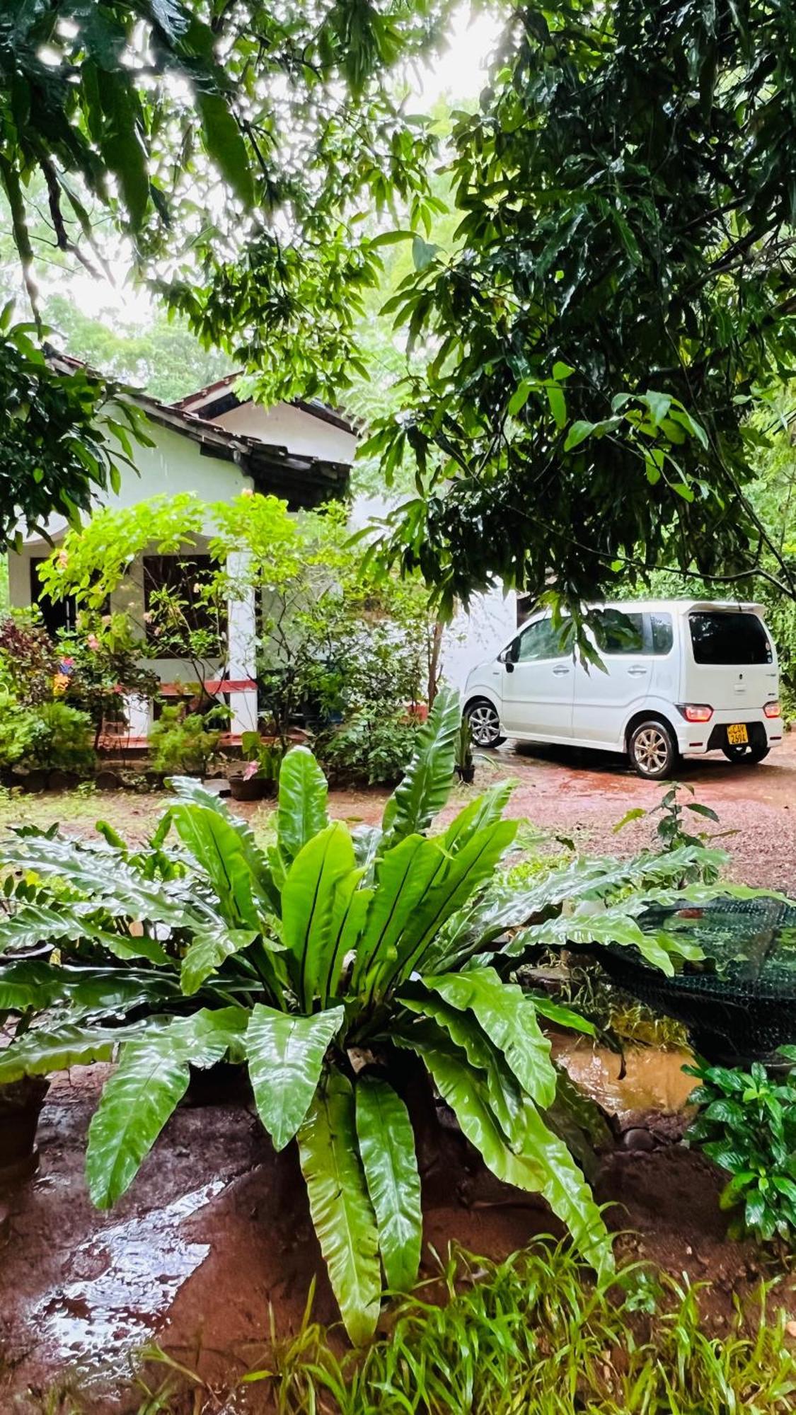 Kataragama Homestay 외부 사진