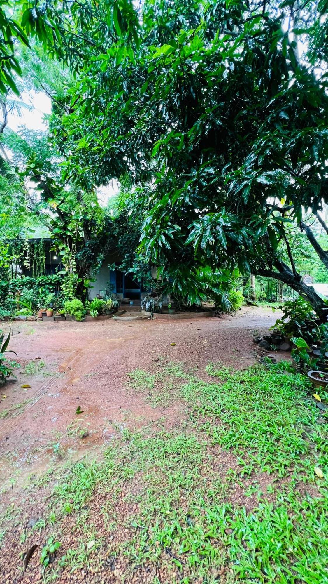 Kataragama Homestay 외부 사진