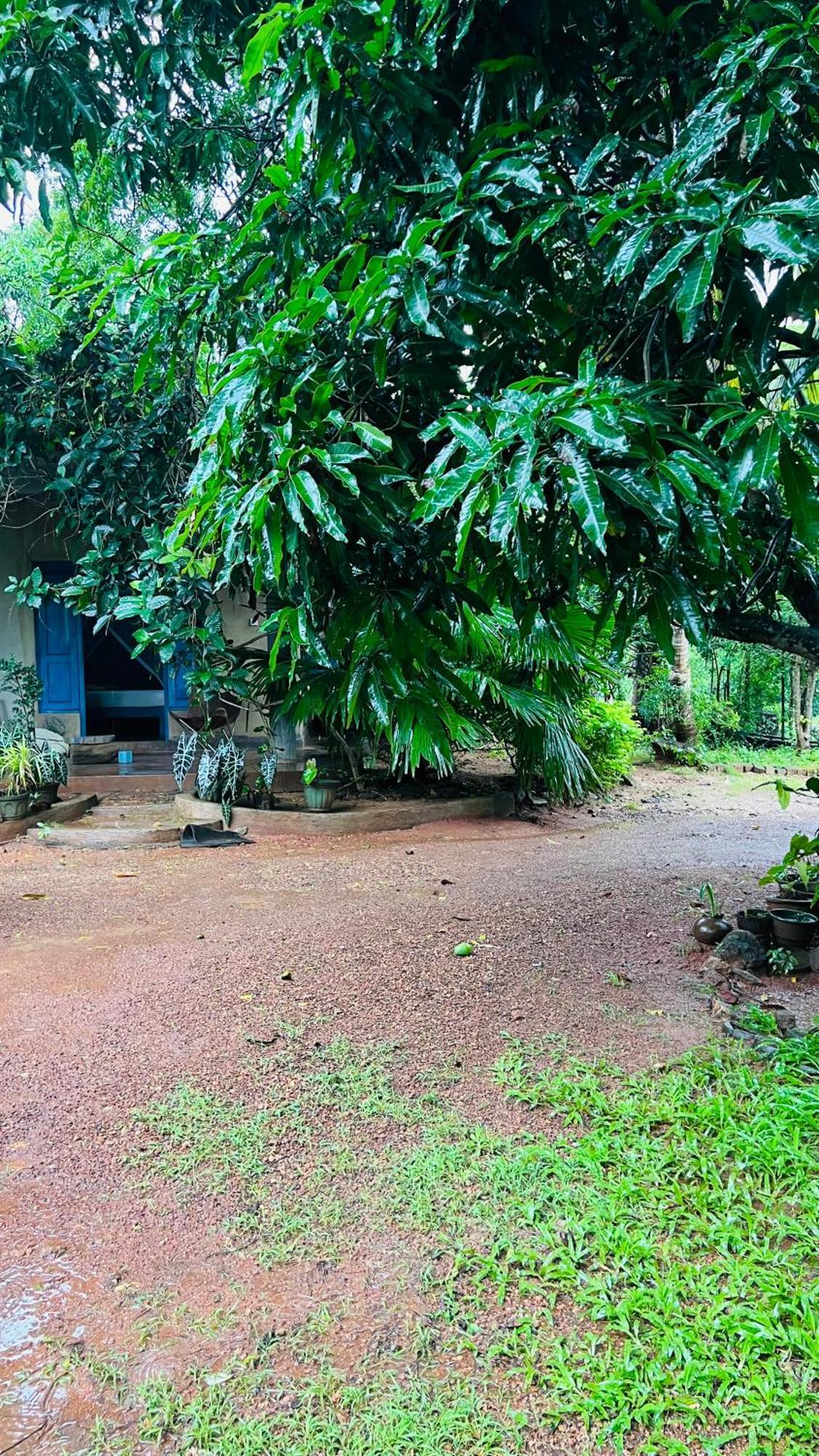 Kataragama Homestay 외부 사진