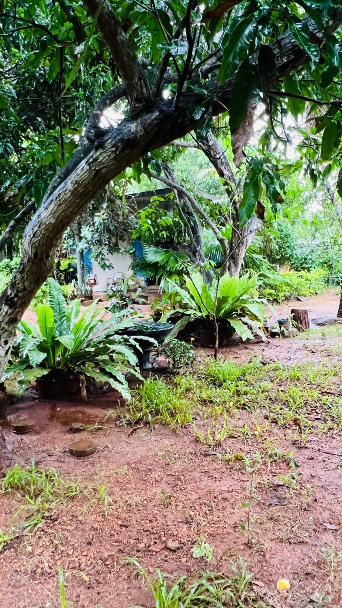 Kataragama Homestay 외부 사진