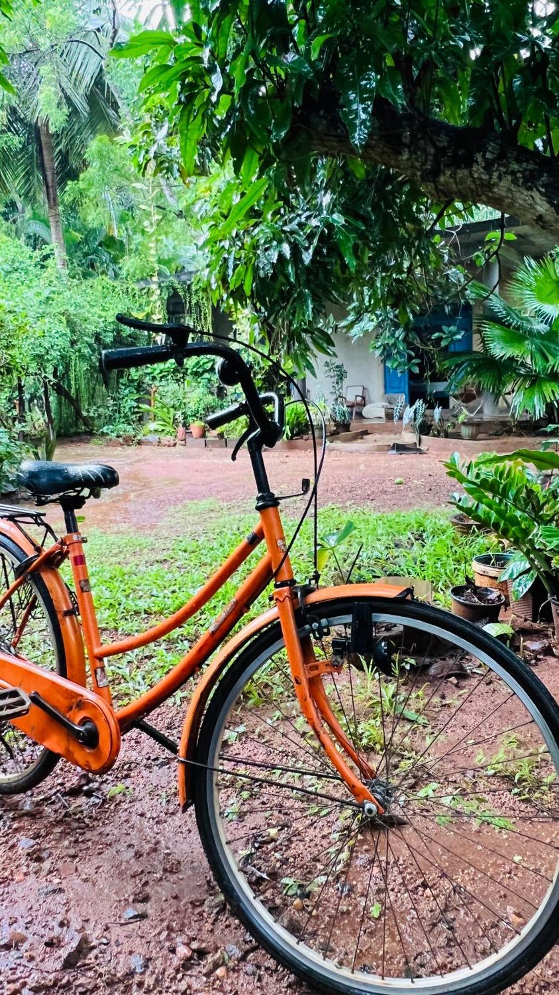 Kataragama Homestay 외부 사진