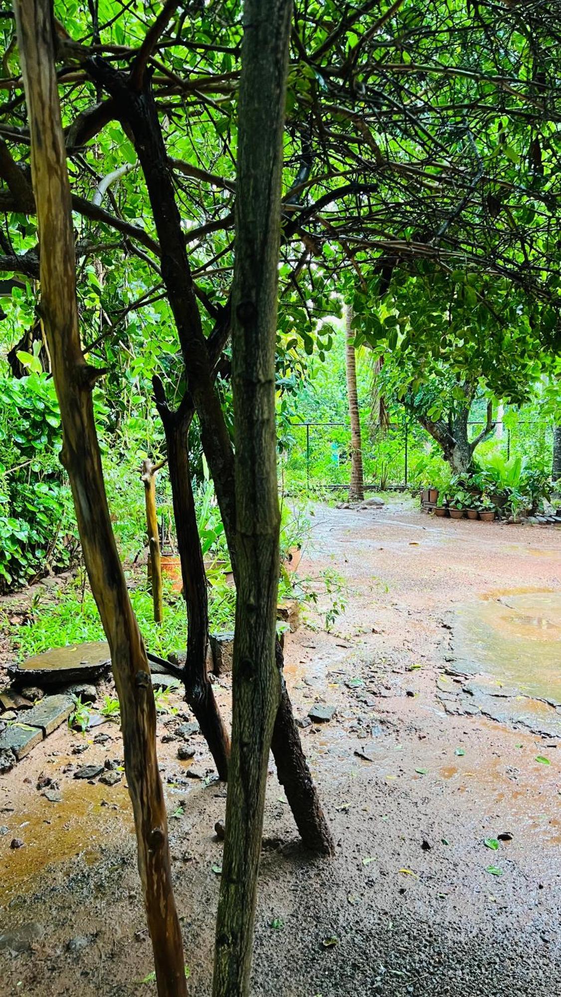 Kataragama Homestay 외부 사진